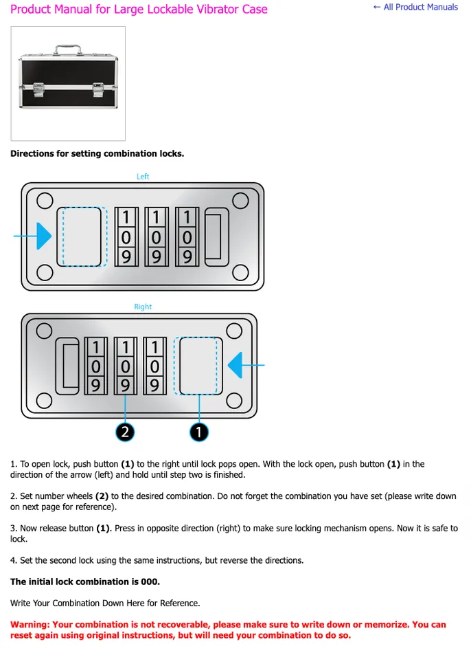 BMS Enterprises Vibrators The Toy Chest Lockable Vibrator Case BMS Enterprises Vibrators The Toy Chest Lockable Vibrator Case